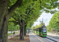 Tramwaje w Poznaniu