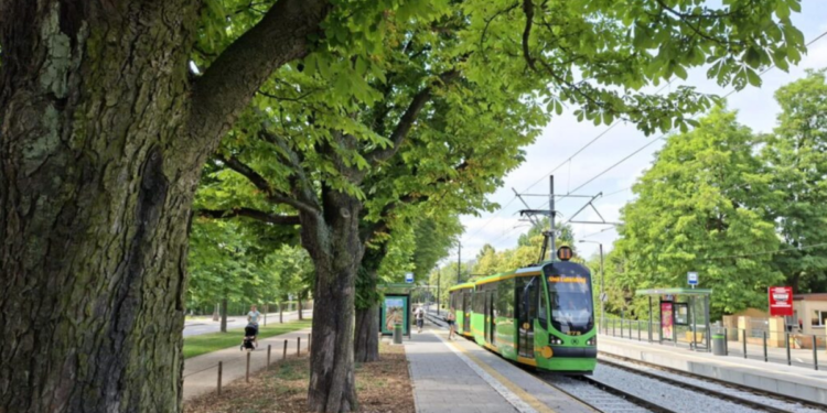 Tramwaje w Poznaniu
