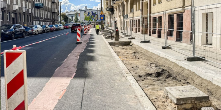 Nowe pasy przeznaczone pod nasadzenia zieleni wzdłuż ulicy Zeylanda