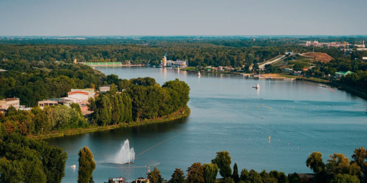 Bieg Motyli nad Jeziorem Maltańskim w Poznaniu