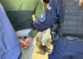 18-latek podejrzany o wybicie szyby w aptece. Grozi mu do 5 lat więzienia